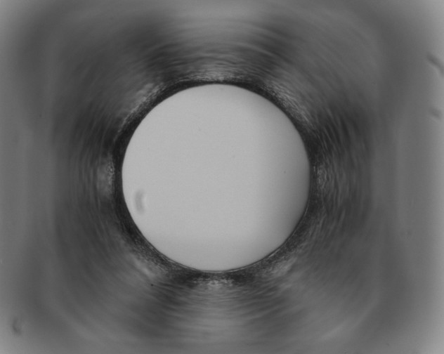 X0000090960304200708301209