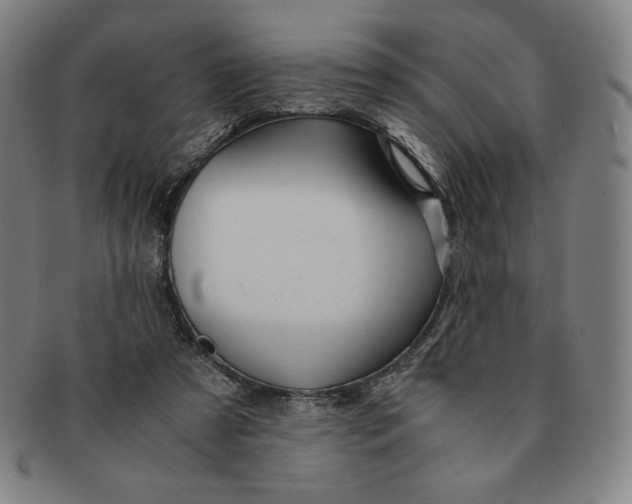 X0000090960305200708301209