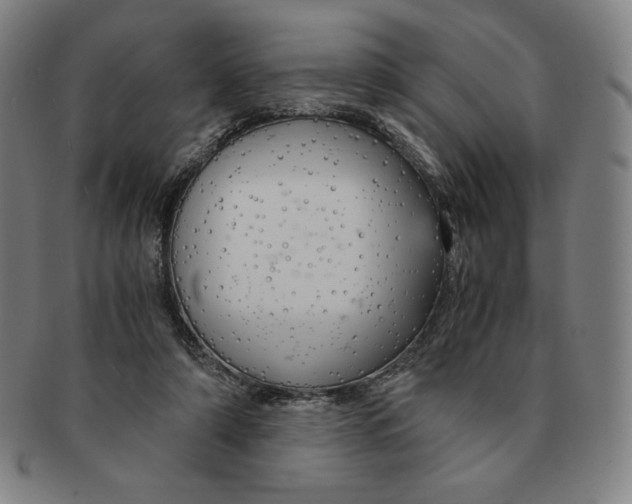 X0000090960306200708301209