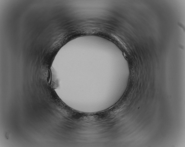 X0000090960307200708301209