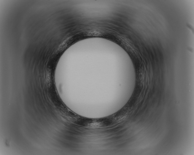 X0000090960312200708301209