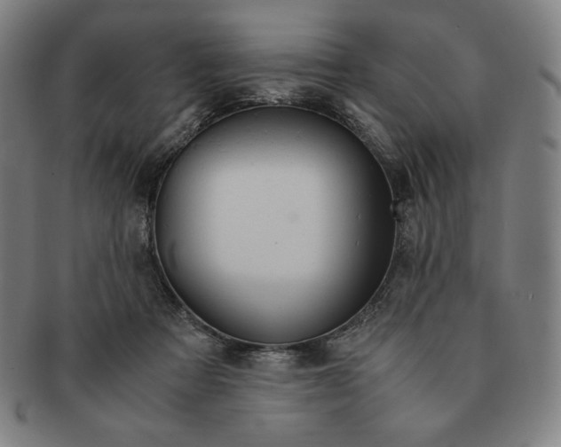 X0000090960313200708301209