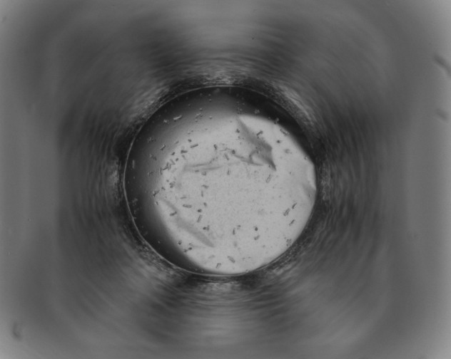 X0000090960314200708301209
