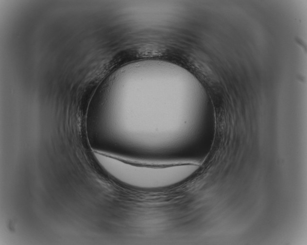 X0000090960315200708301209