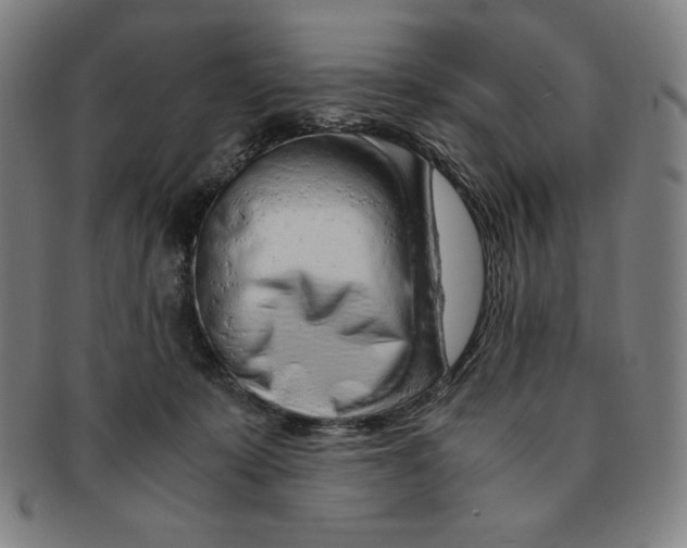 X0000090960319200708301209