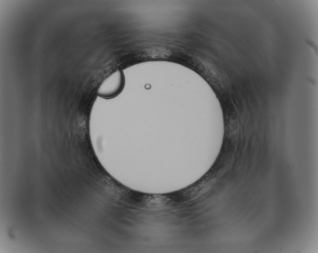 X0000090960321200708301209