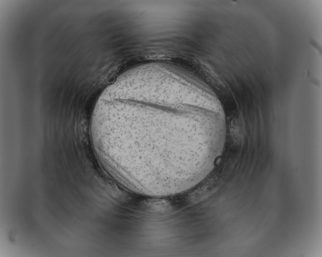 X0000090960322200708301209