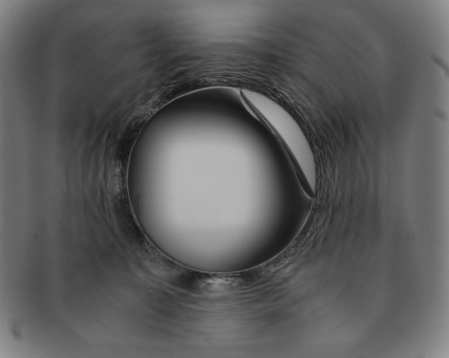 X0000090960323200708301209