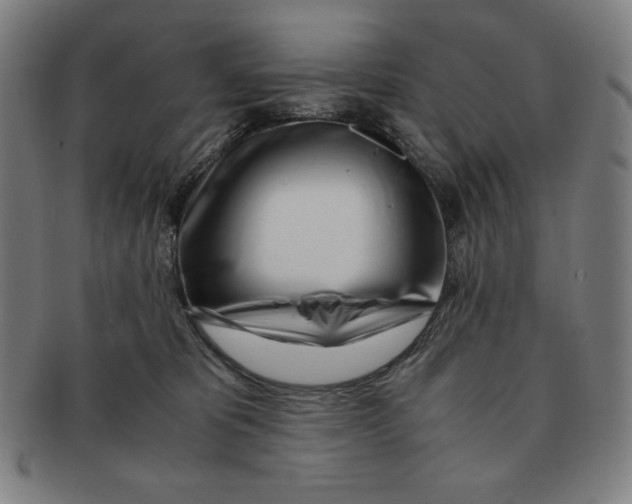 X0000090960325200708301209