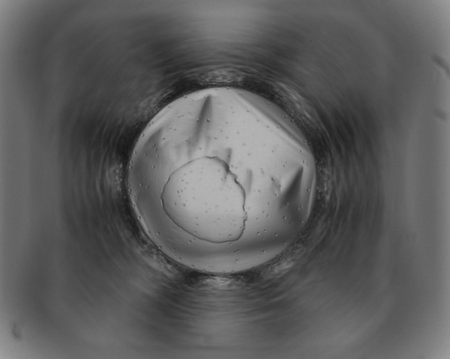 X0000090960326200708301209