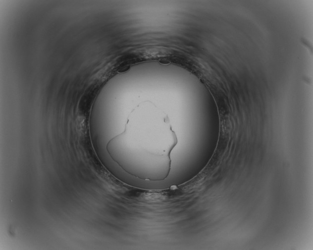 X0000090960327200708301209