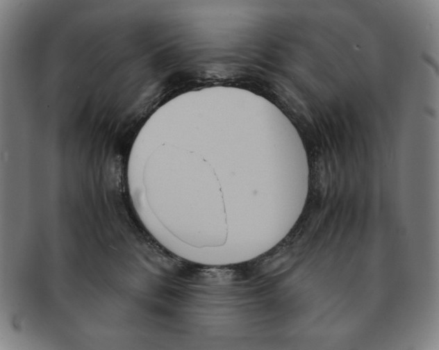 X0000090960328200708301209