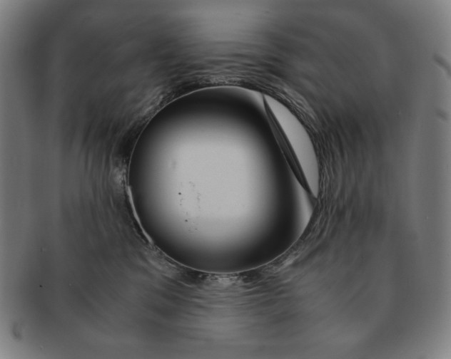 X0000090960329200708301209