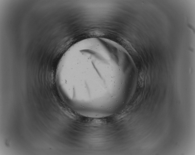 X0000090960330200708301209