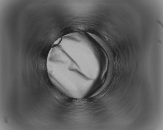 X0000090960331200708301209