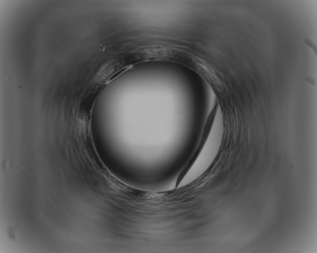 X0000090960333200708301209