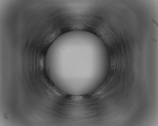 X0000090960334200708301209