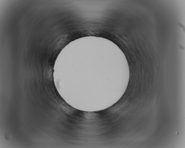 X0000090960336200708301209