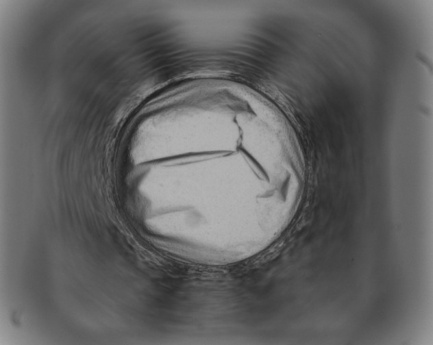 X0000090960337200708301208