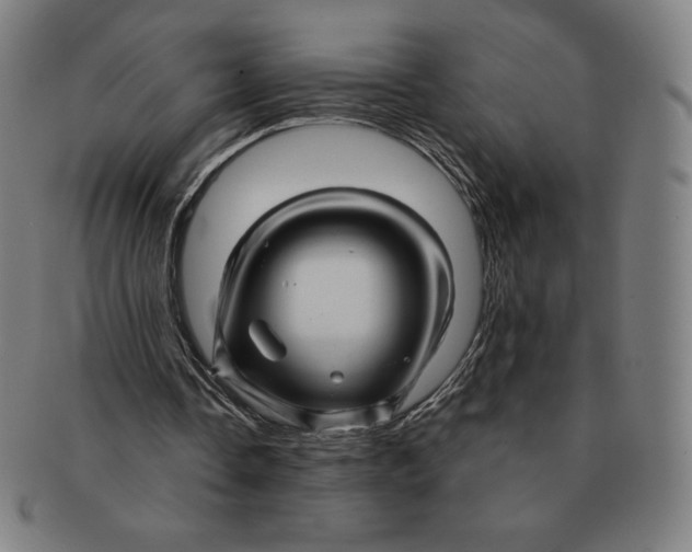 X0000090960338200708301208