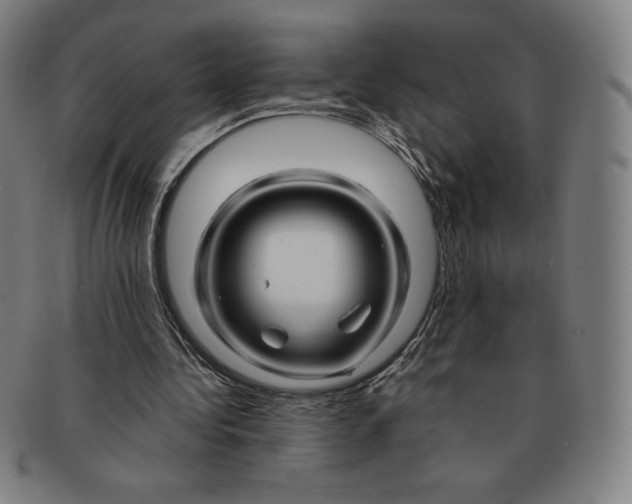 X0000090960340200708301208