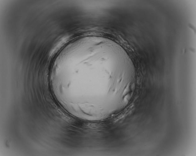 X0000090960341200708301208