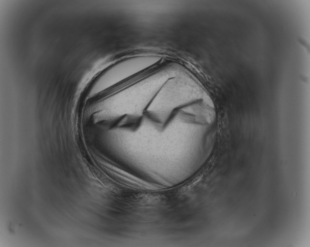 X0000090960343200708301208