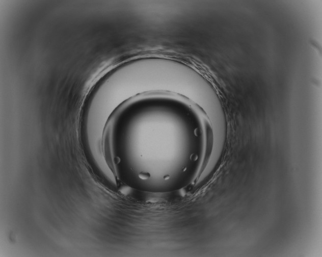 X0000090960344200708301208