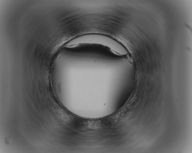 X0000090960345200708301208