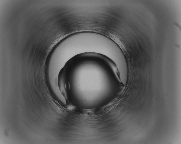 X0000090960346200708301208