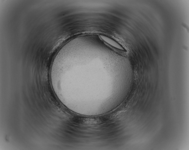 X0000090960347200708301208