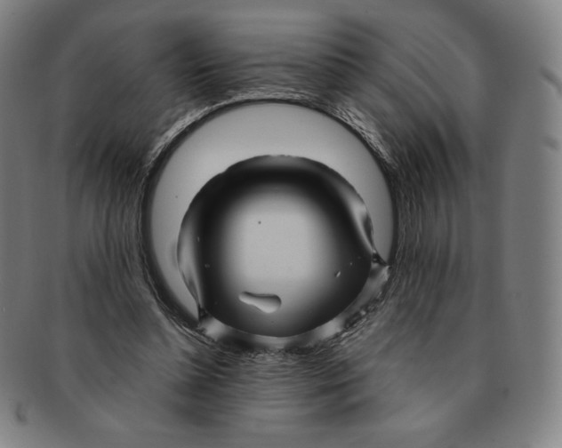 X0000090960348200708301208