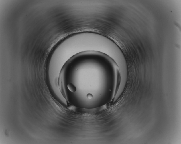 X0000090960350200708301208