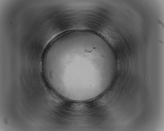 X0000090960351200708301208