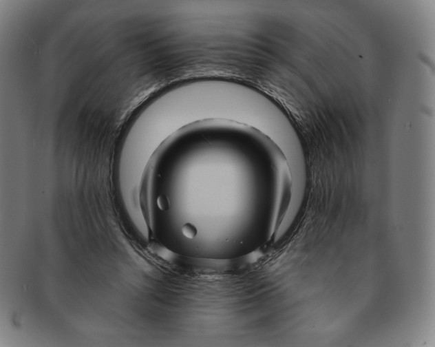 X0000090960352200708301208