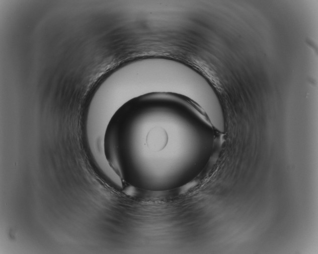 X0000090960354200708301208