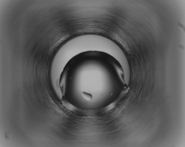 X0000090960356200708301208