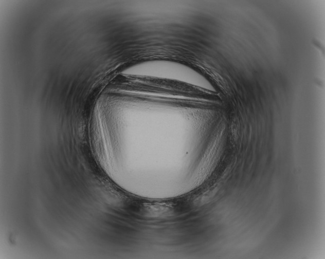 X0000090960359200708301208