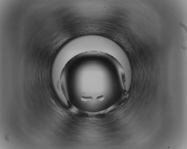 X0000090960360200708301208