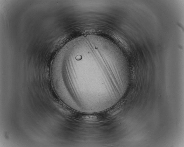 X0000090960361200708301208