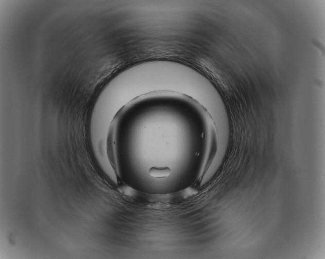 X0000090960362200708301208