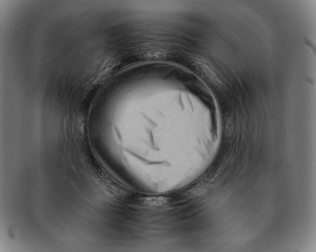 X0000090960363200708301208