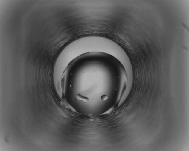 X0000090960364200708301208