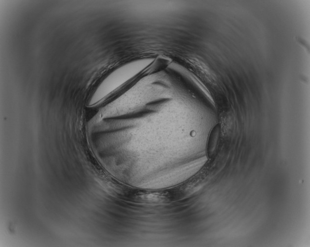 X0000090960365200708301208