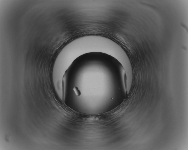 X0000090960366200708301208