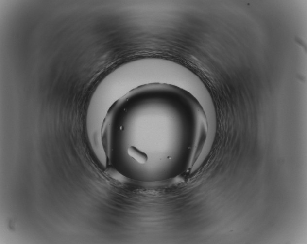 X0000090960370200708301208