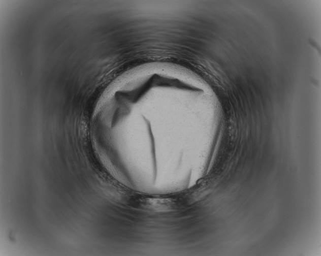 X0000090960371200708301208