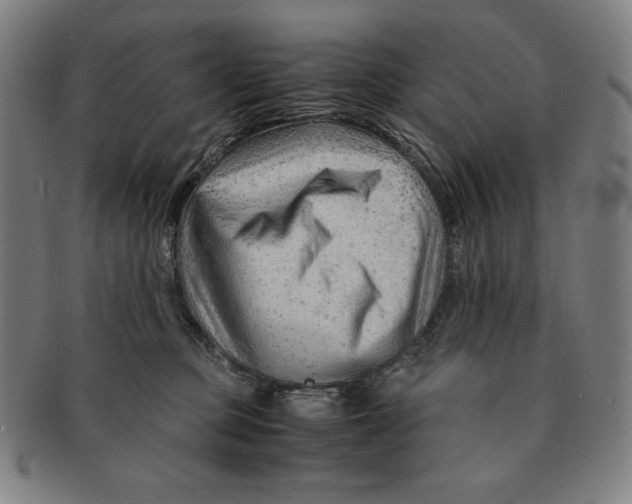 X0000090960373200708301208