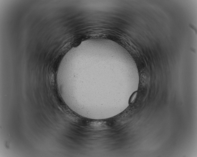 X0000090960375200708301208