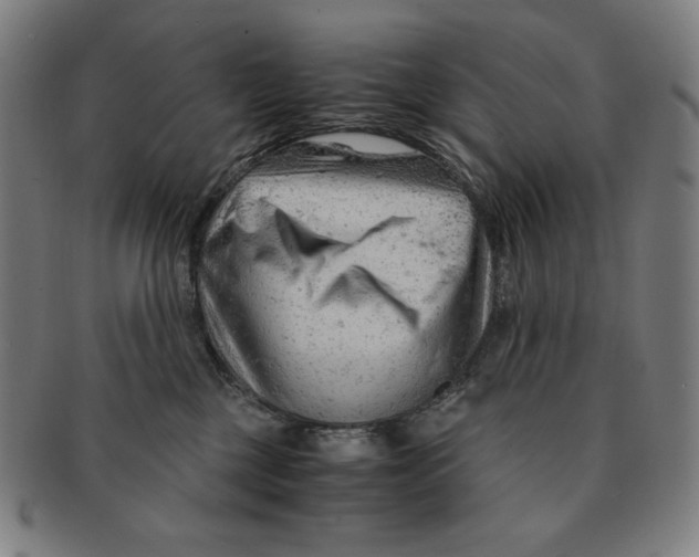 X0000090960377200708301208